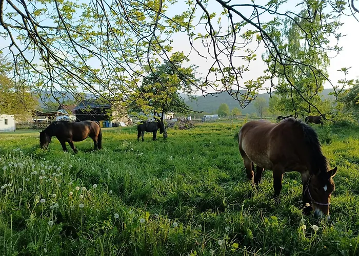 Osada Malawka Pod Sniezka *